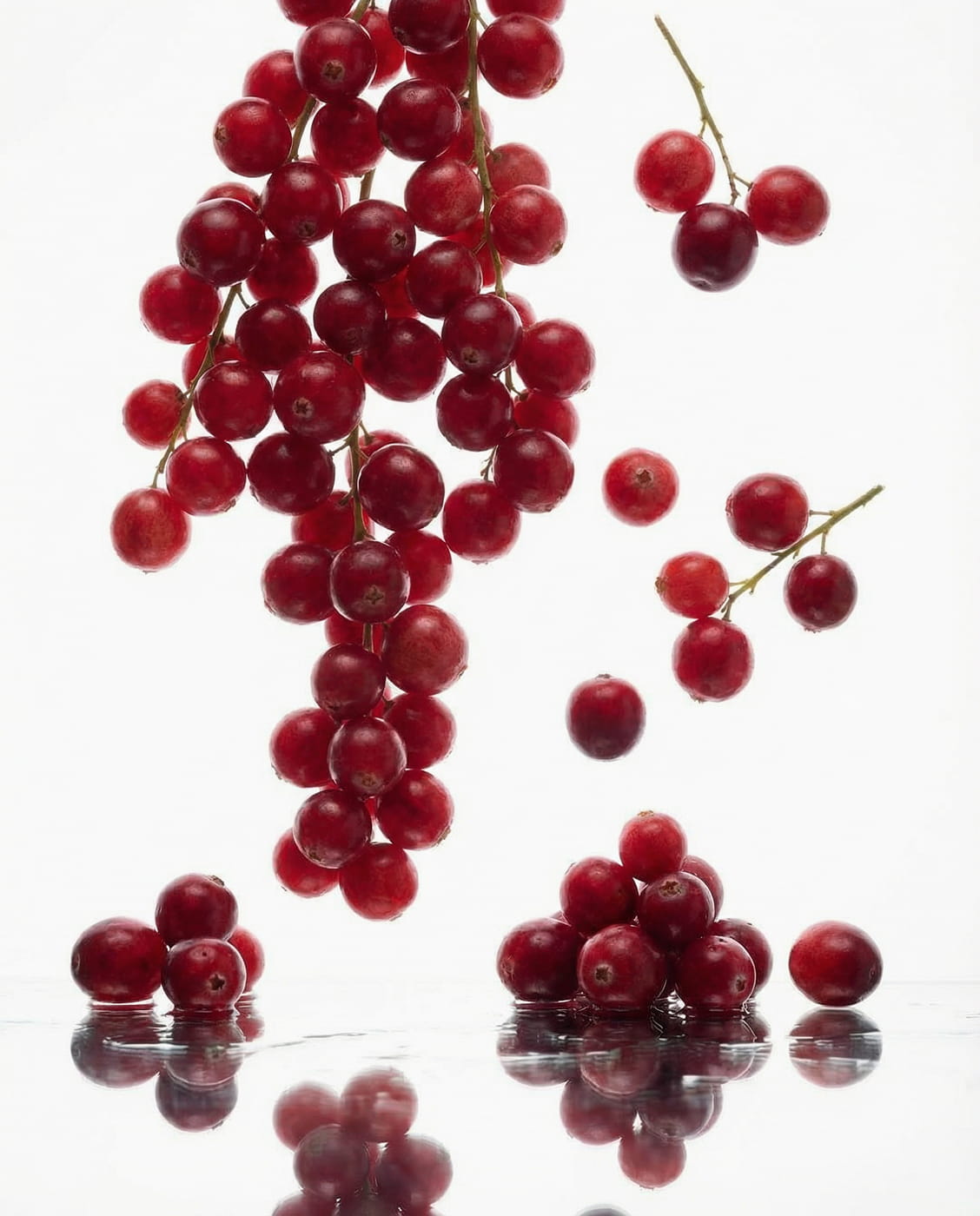 Clusters of bright red berries on stems and loose on a reflective surface against a white background.