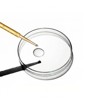 A pipette drops a single droplet of clear liquid into a glass petri dish on a white background.