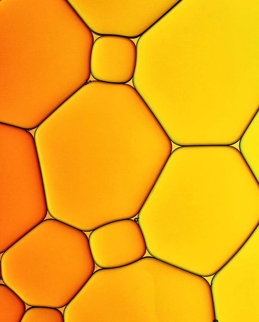 An abstract close-up of geometric, bubble-like shapes in shades of orange and yellow.