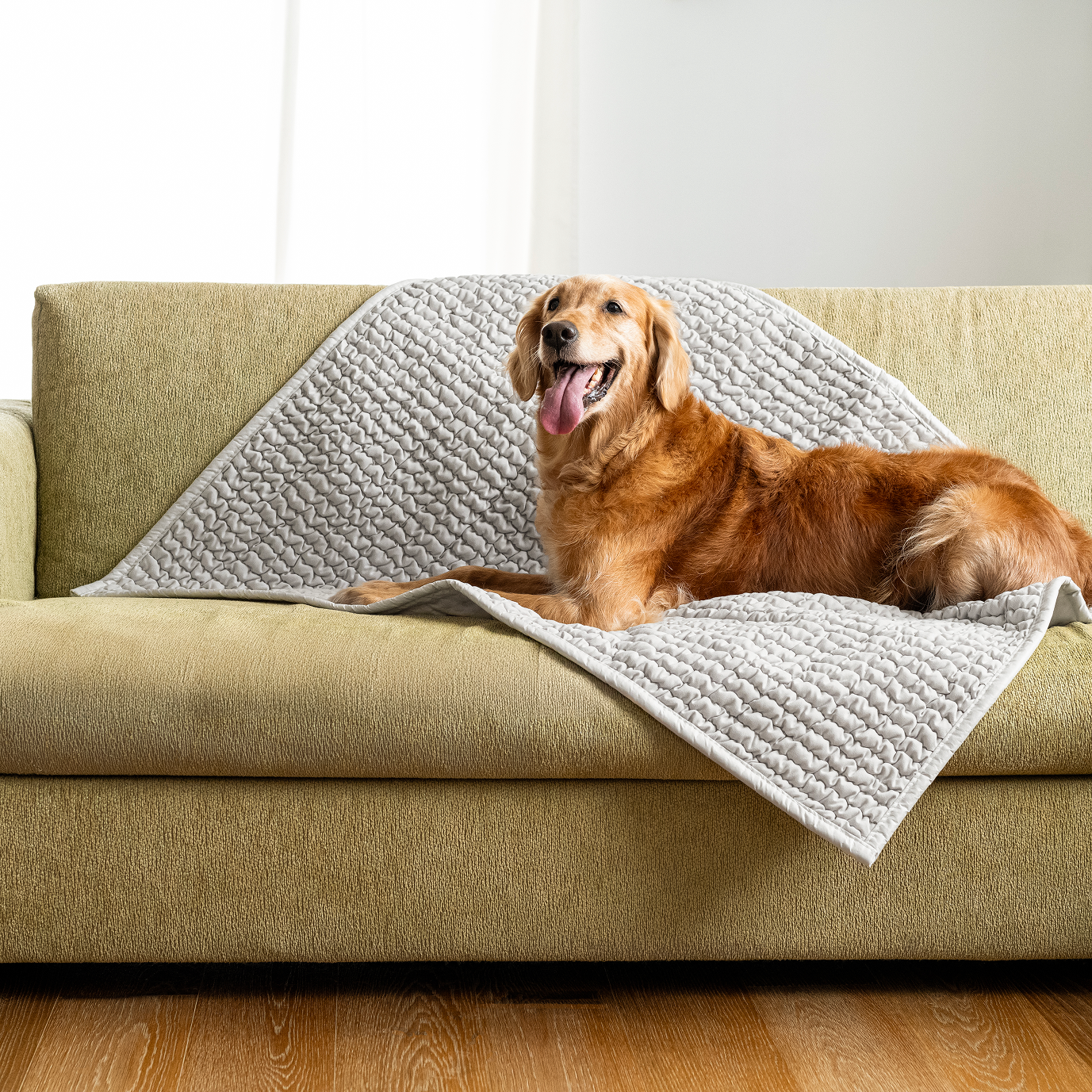 Golden retriever lying on a green sofa with a gray quilted blanket.