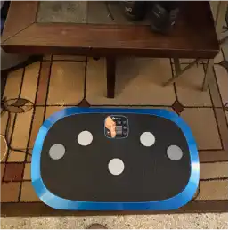 A blue and black vibration plate exercise machine on a patterned rug in front of a wooden table.