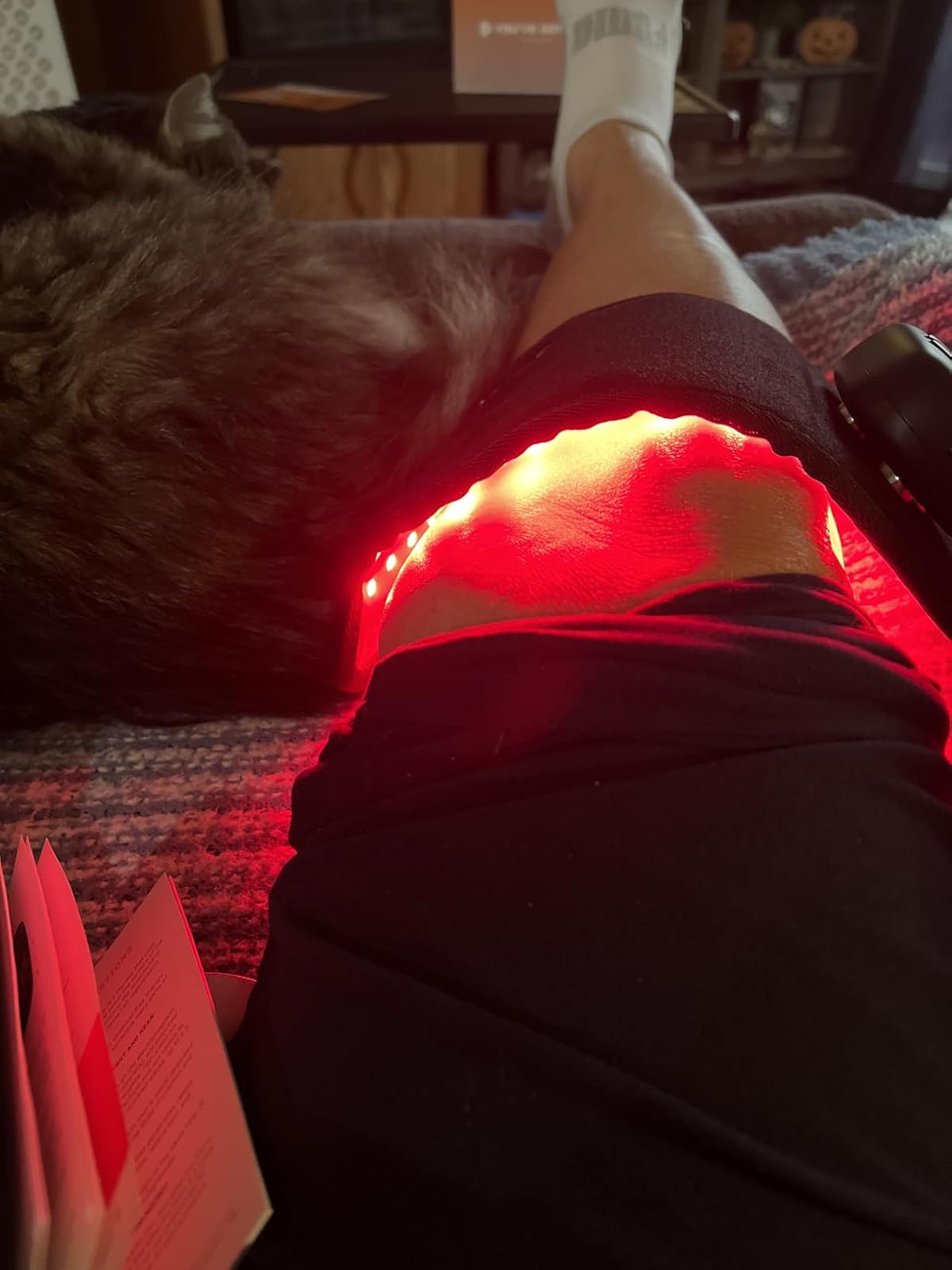 A person using a red light therapy device on their knee while a furry pet rests nearby.