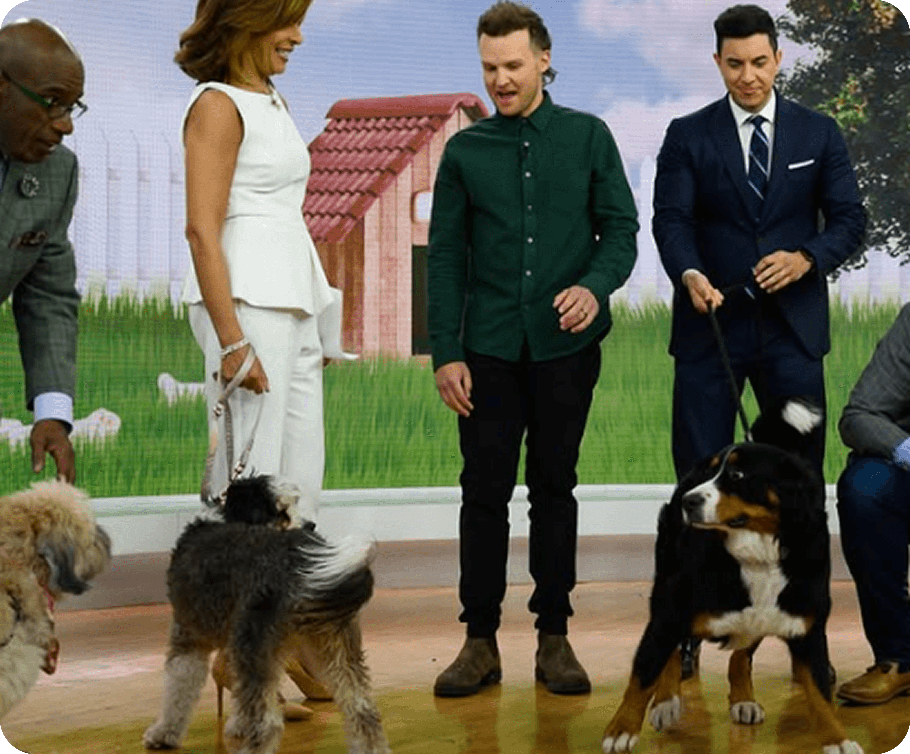 People interacting with dogs indoors, with a farm backdrop.