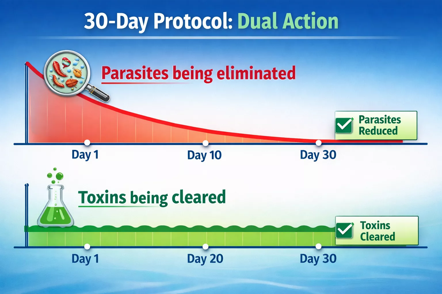 Complete protocol