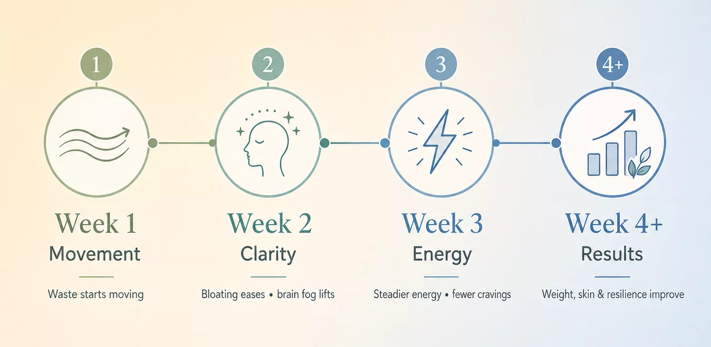 A four-week timeline graphic showing progress through movement, clarity, energy, and results.