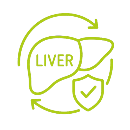 A green icon of a liver with circling arrows and a shield with a checkmark.