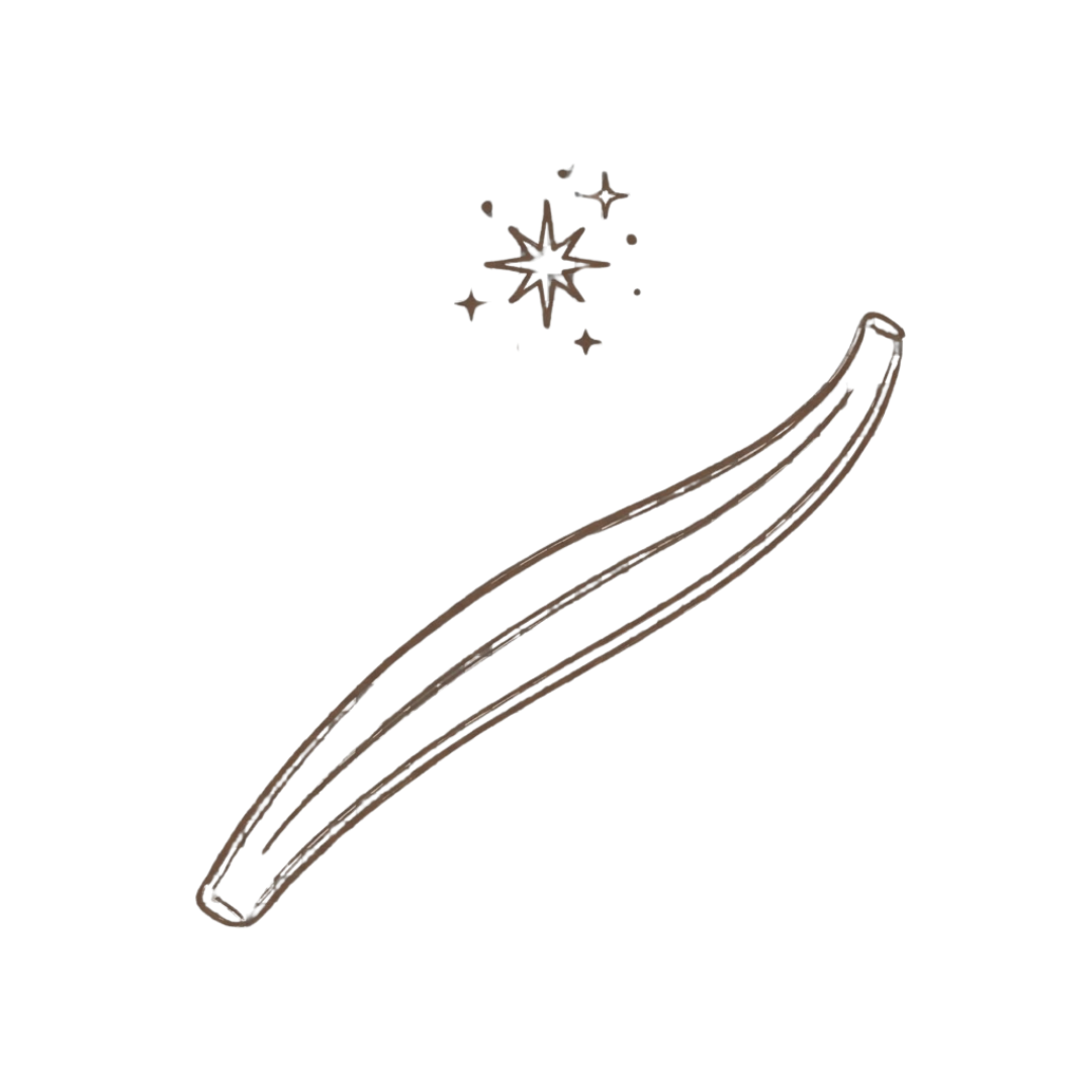 A line drawing of a vanilla bean with sparkles above it.