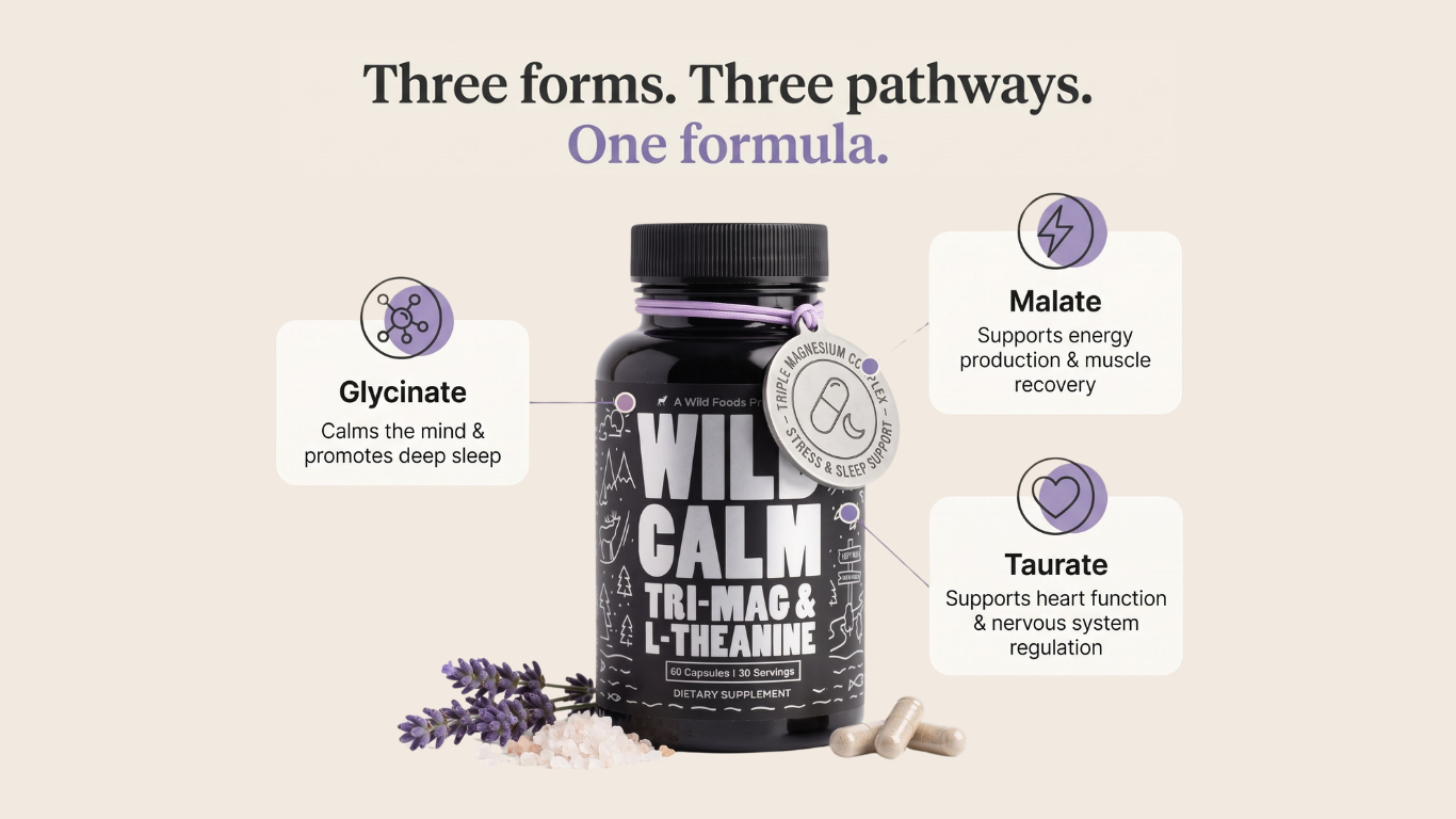A bottle of Wild Calm supplement with infographics explaining the benefits of its three main ingredients.