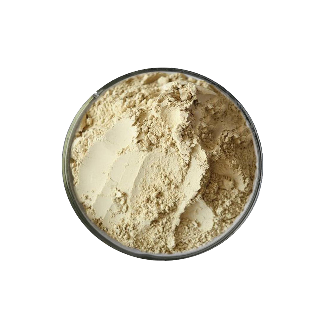 A bowl filled with light beige powder on a white background.