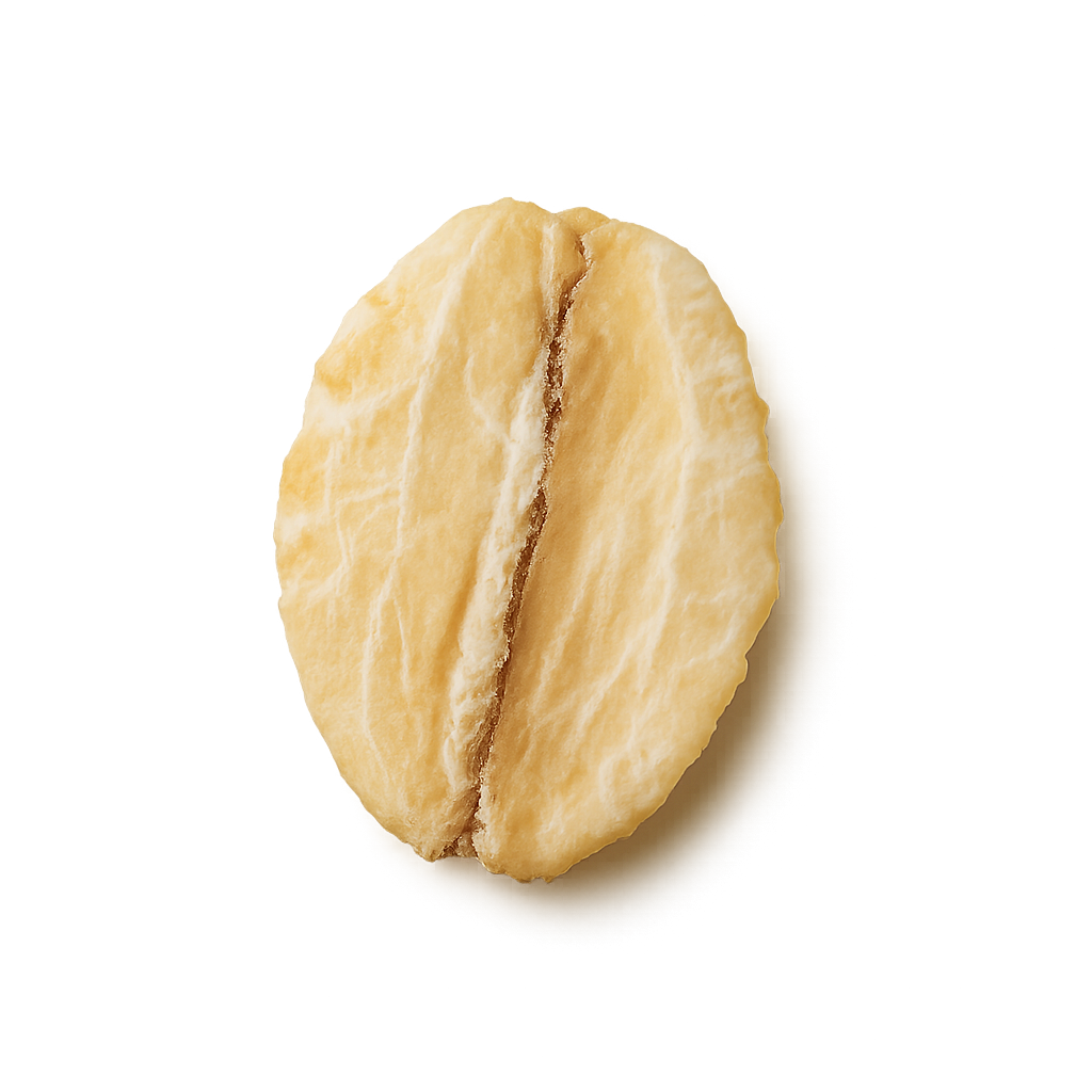 Flocon d'avoine