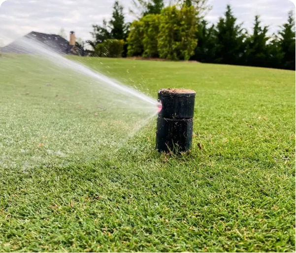 A sprinkler spraying water on a grassy lawn with trees in the background.