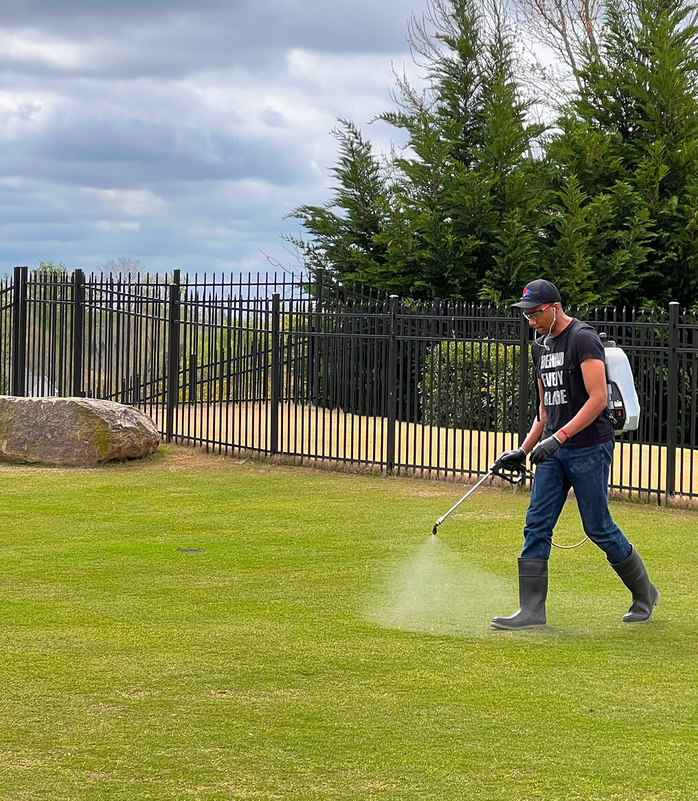 Person spraying lawn with a backpack sprayer near a fence and trees.