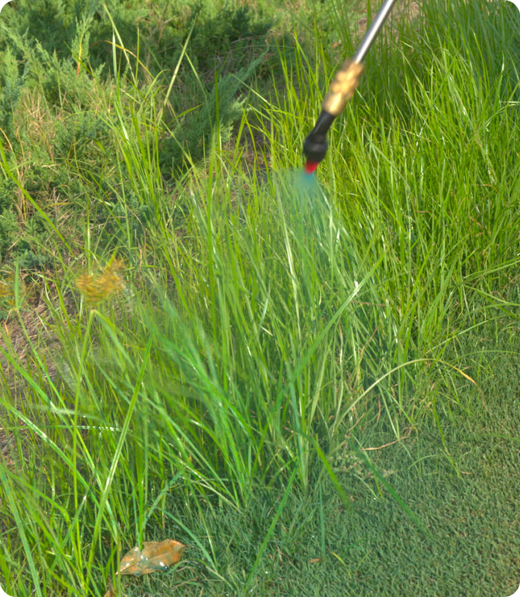 Spray nozzle applying liquid to tall grass in a garden.