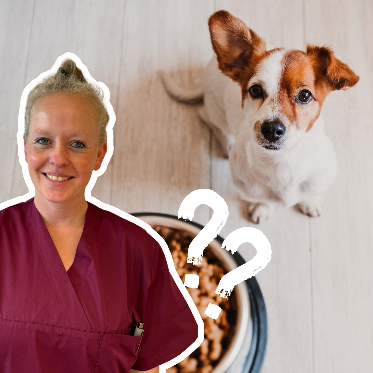 Person in scrubs and a dog with a food bowl and question marks.