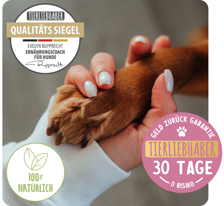 Human hand holding a dog's paw, with quality and guarantee seals.