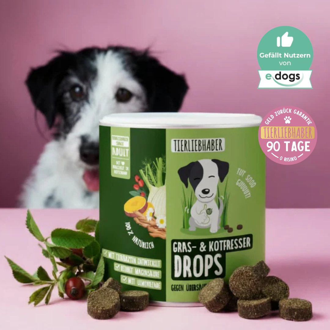 Dog behind a green can of pet food against a pink background.