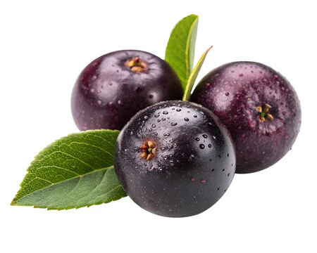 Three dark purple berries with green leaves and water droplets.