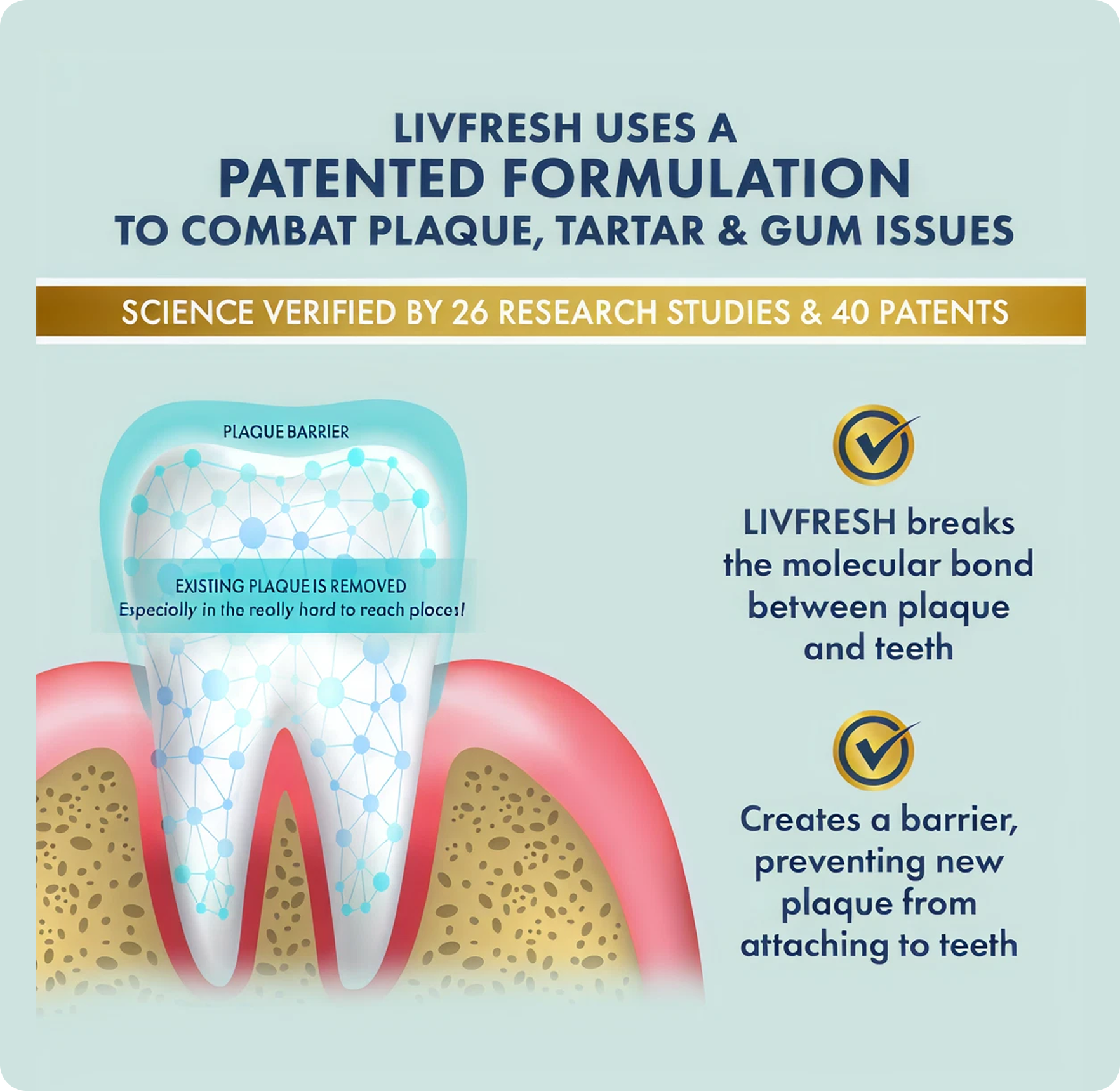 Illustration of a tooth with text about LIVFRESH's plaque removal benefits.