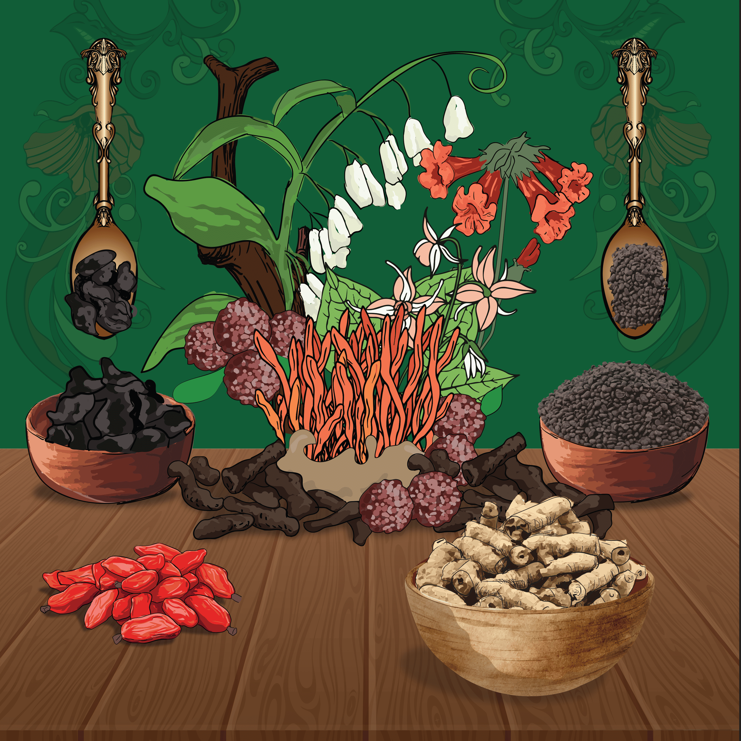 Illustration of various herbs, roots, and seeds on a wooden table with a green background.