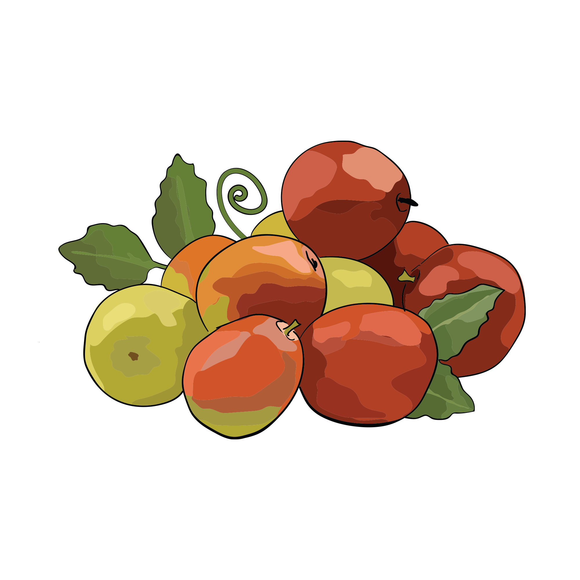 Illustration of a cluster of red and green apples with leaves.
