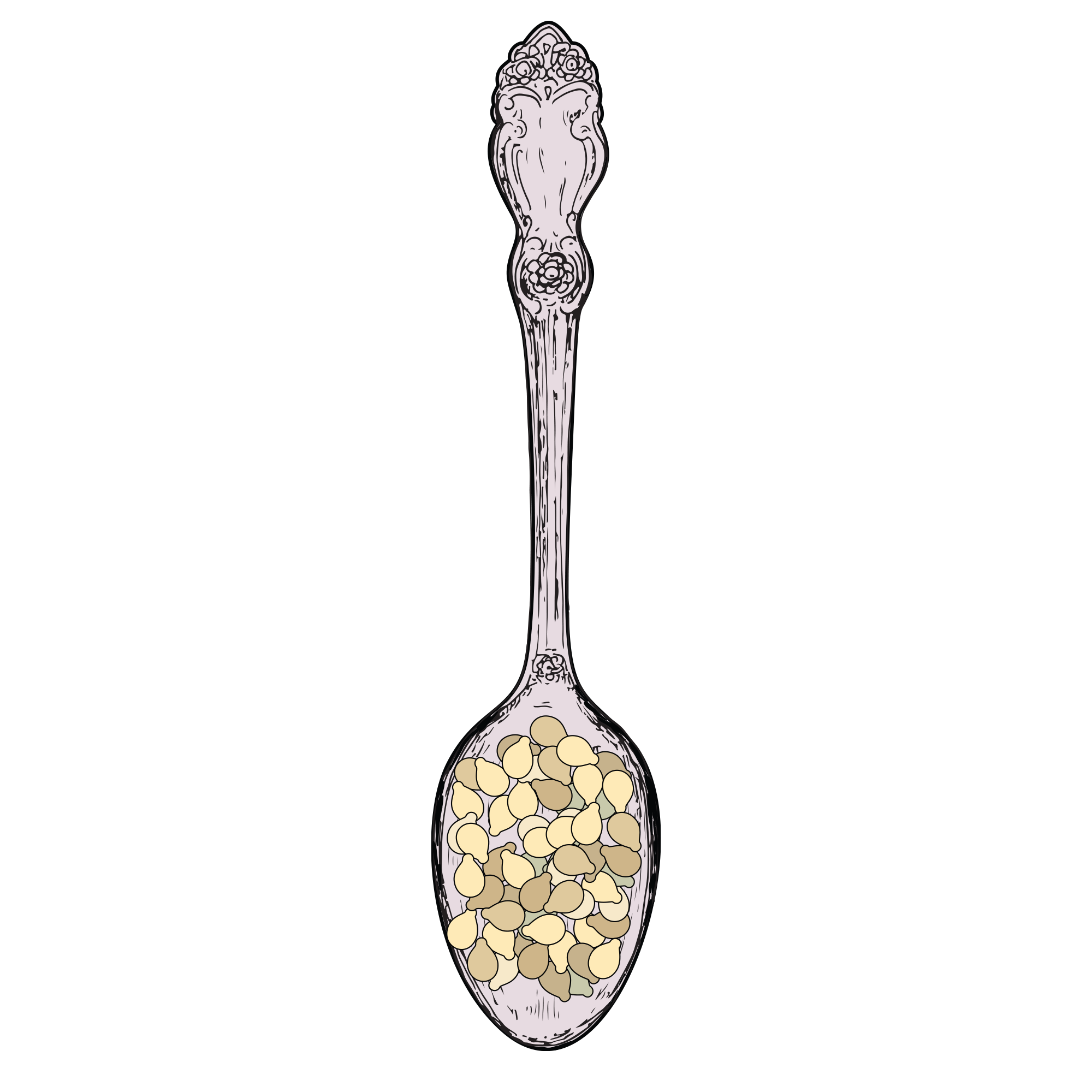 Illustration of a decorative spoon filled with small, round seeds.