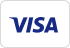 Visa logo on a white background.