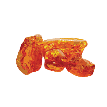 Several pieces of polished amber against a white background.