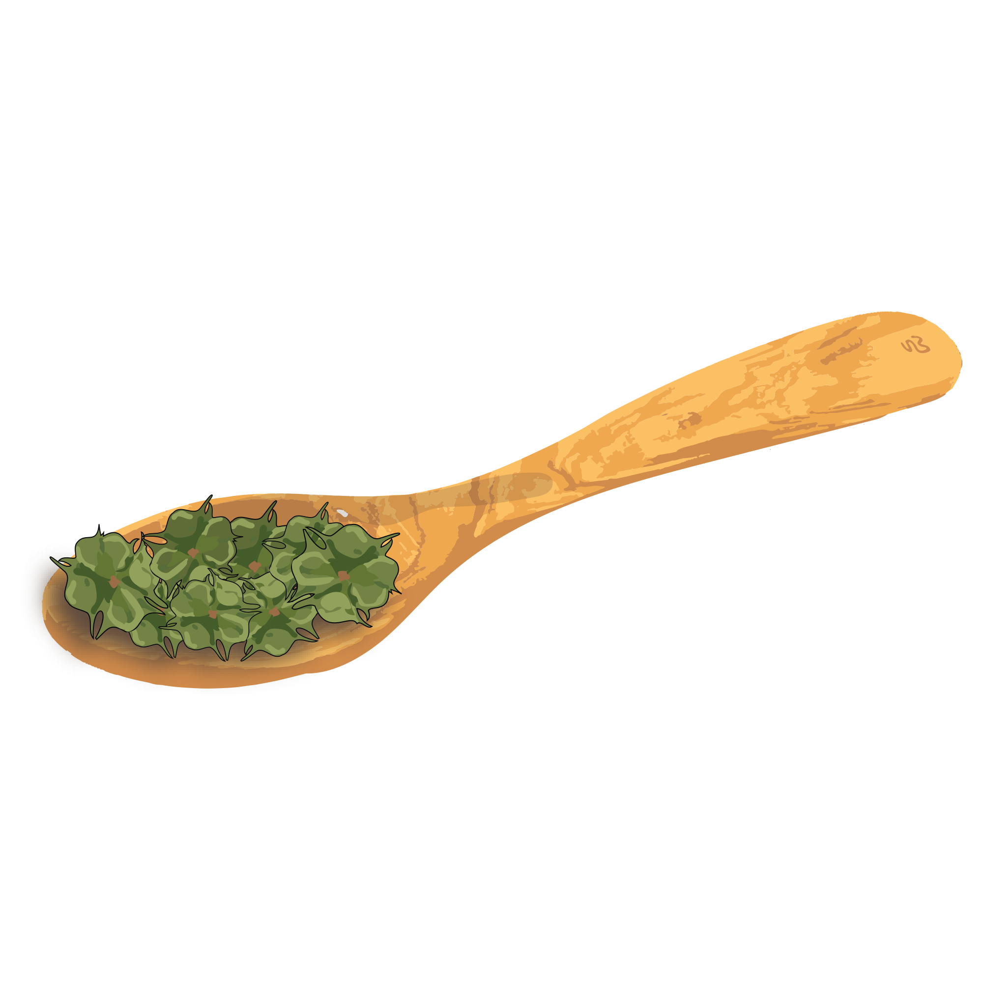 Illustration of a wooden spoon with green herbs.