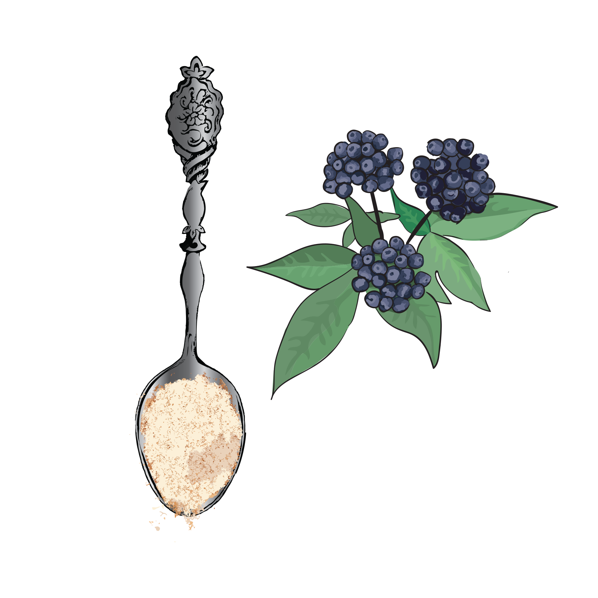Illustration of a spoon with powder and a cluster of berries with leaves.