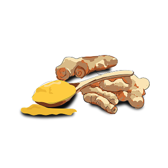 Illustration of turmeric roots and a spoon with turmeric powder.