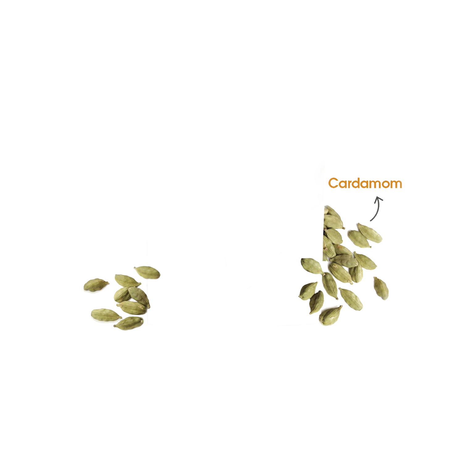 Cardamom pods scattered with a label pointing to them.