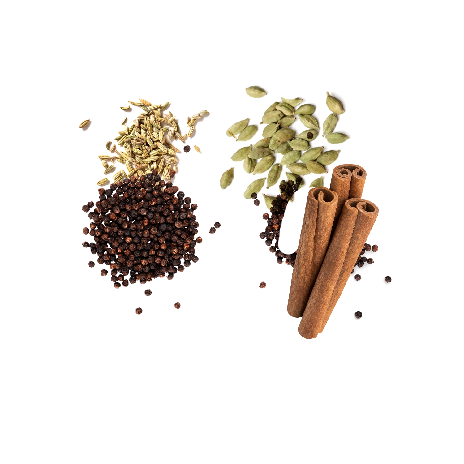 Fennel seeds, black pepper, cardamom pods, and cinnamon sticks on a green background.