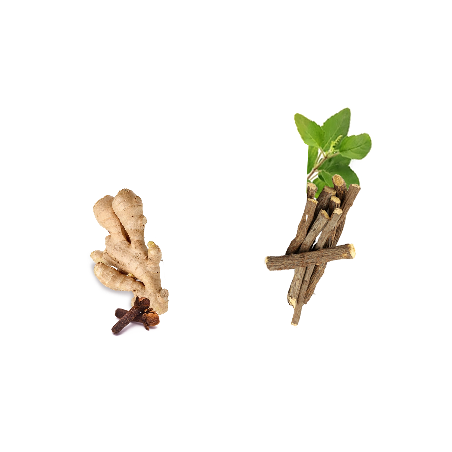 Ginger and licorice roots on a green background with a plant photo.