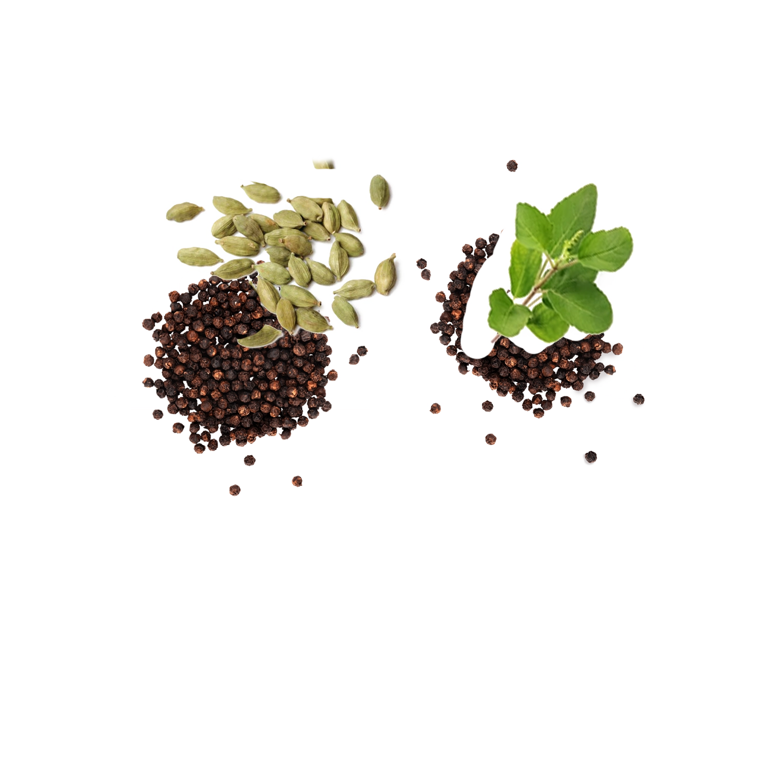 Cardamom pods, black peppercorns, and green leaves on white backgrounds.