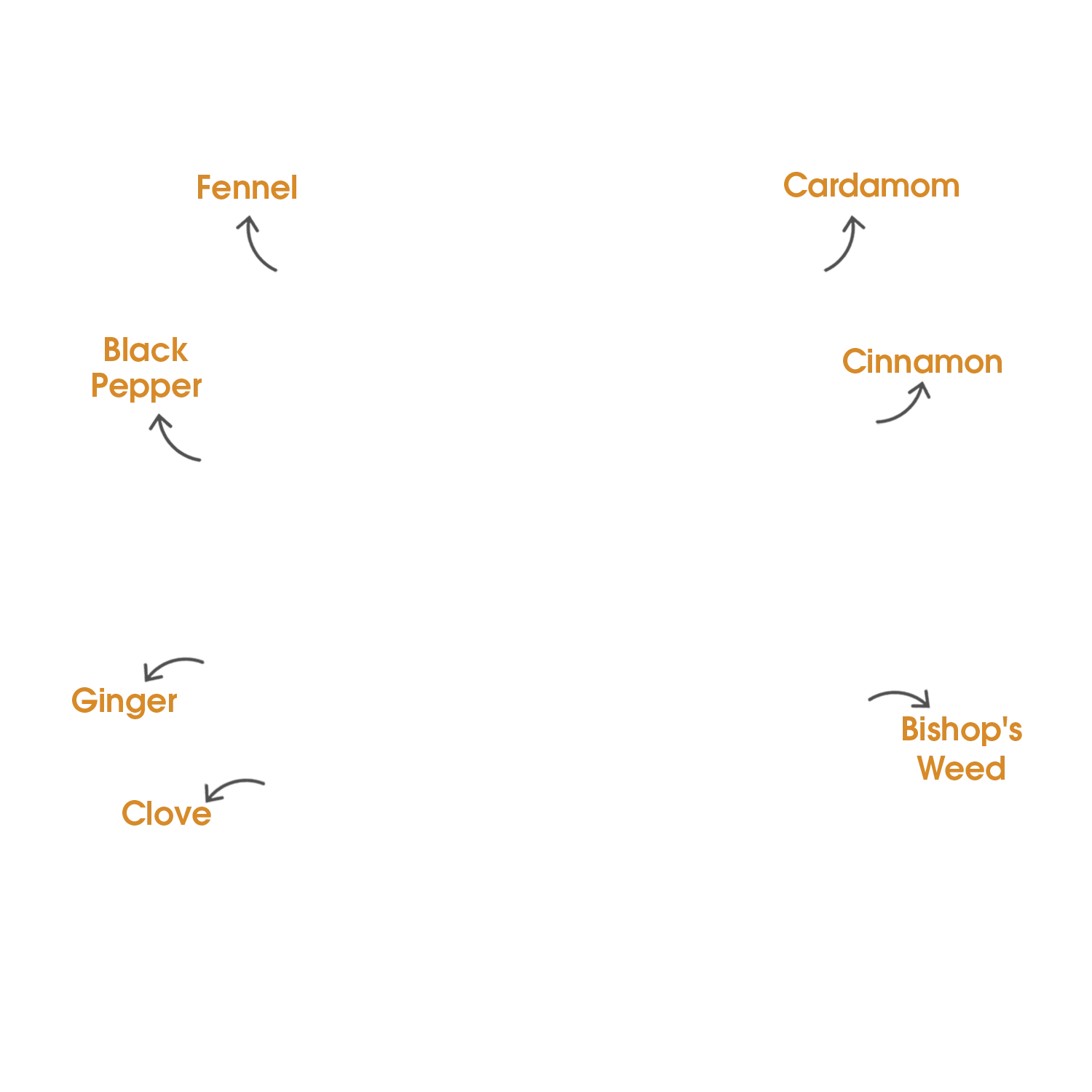 Names of spices arranged in a circular pattern on a green background.