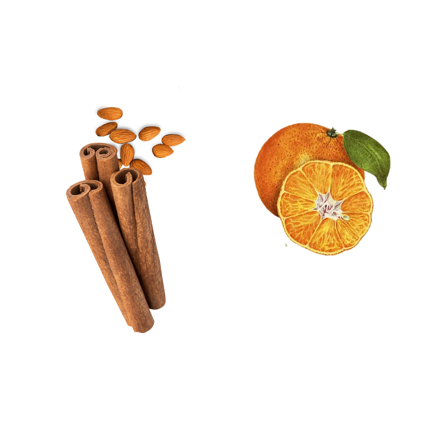 Cinnamon sticks, almonds, and a sliced orange with a leaf on a green background.