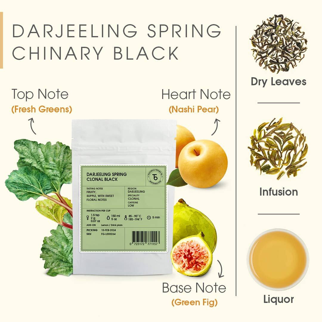 An infographic showing Darjeeling Spring Black tea with tasting notes of fresh greens, pear, and fig.