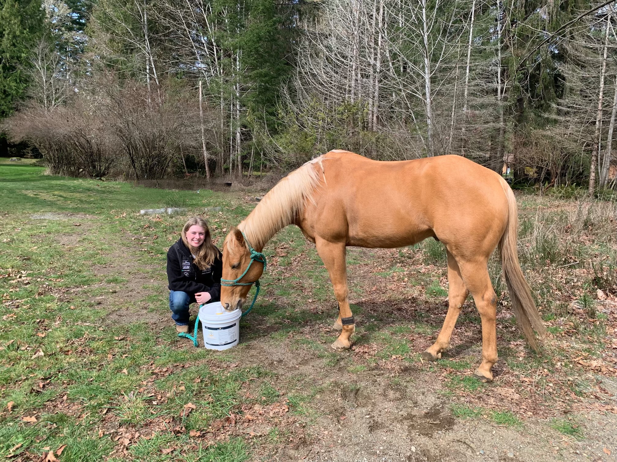 Quarter Horse with Smart Earth Camelina Oil product