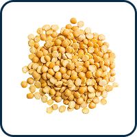 A pile of yellow split peas on a white background.