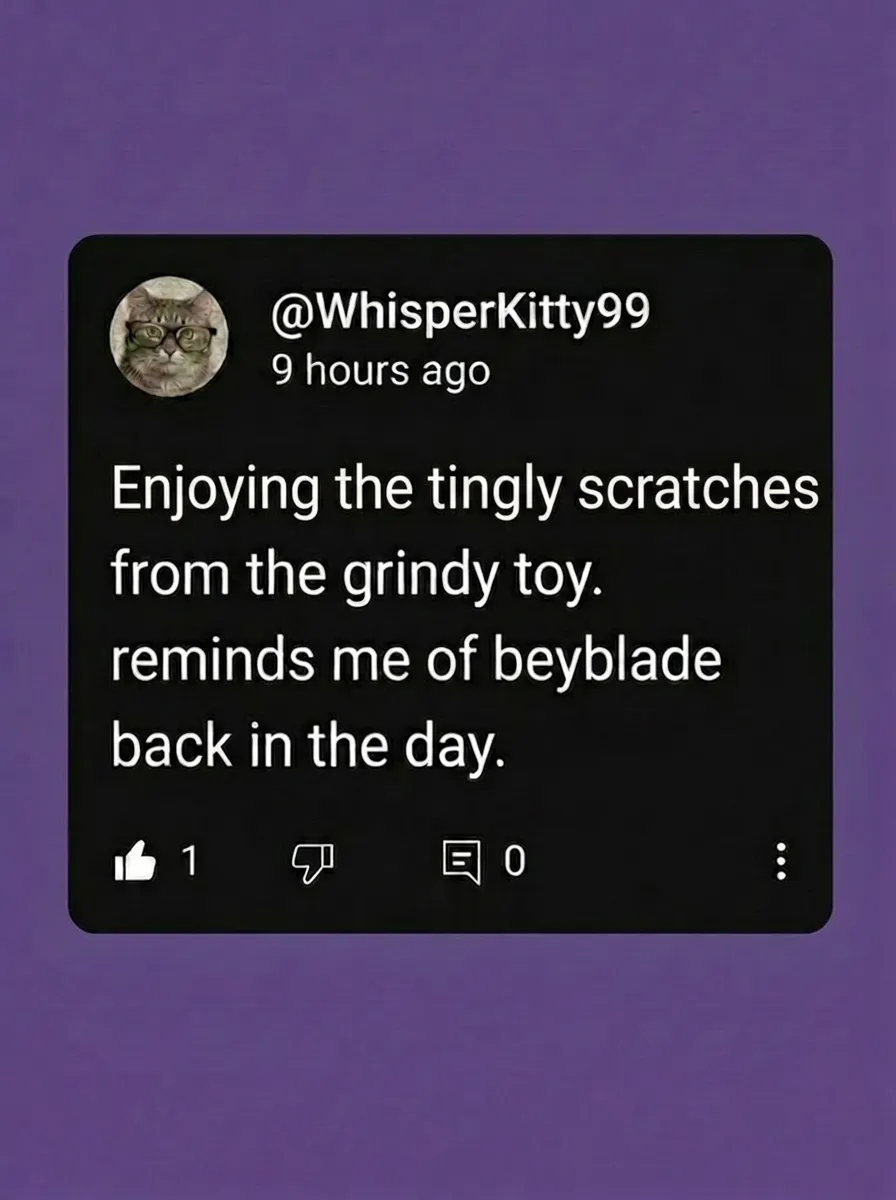 A screenshot of a comment from a user with a cat profile picture reminiscing about Beyblades.