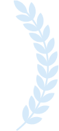 Light blue laurel branch on a white background.