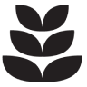 Black silhouette of a stylized plant with three layers of leaves.