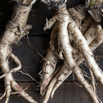Close-up of several horseradish roots on a dark wooden surface.