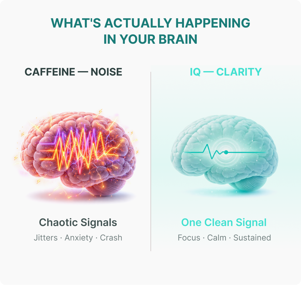 Infographic comparing a brain with chaotic signals from caffeine to one with a clean signal, labeled 'IQ'.