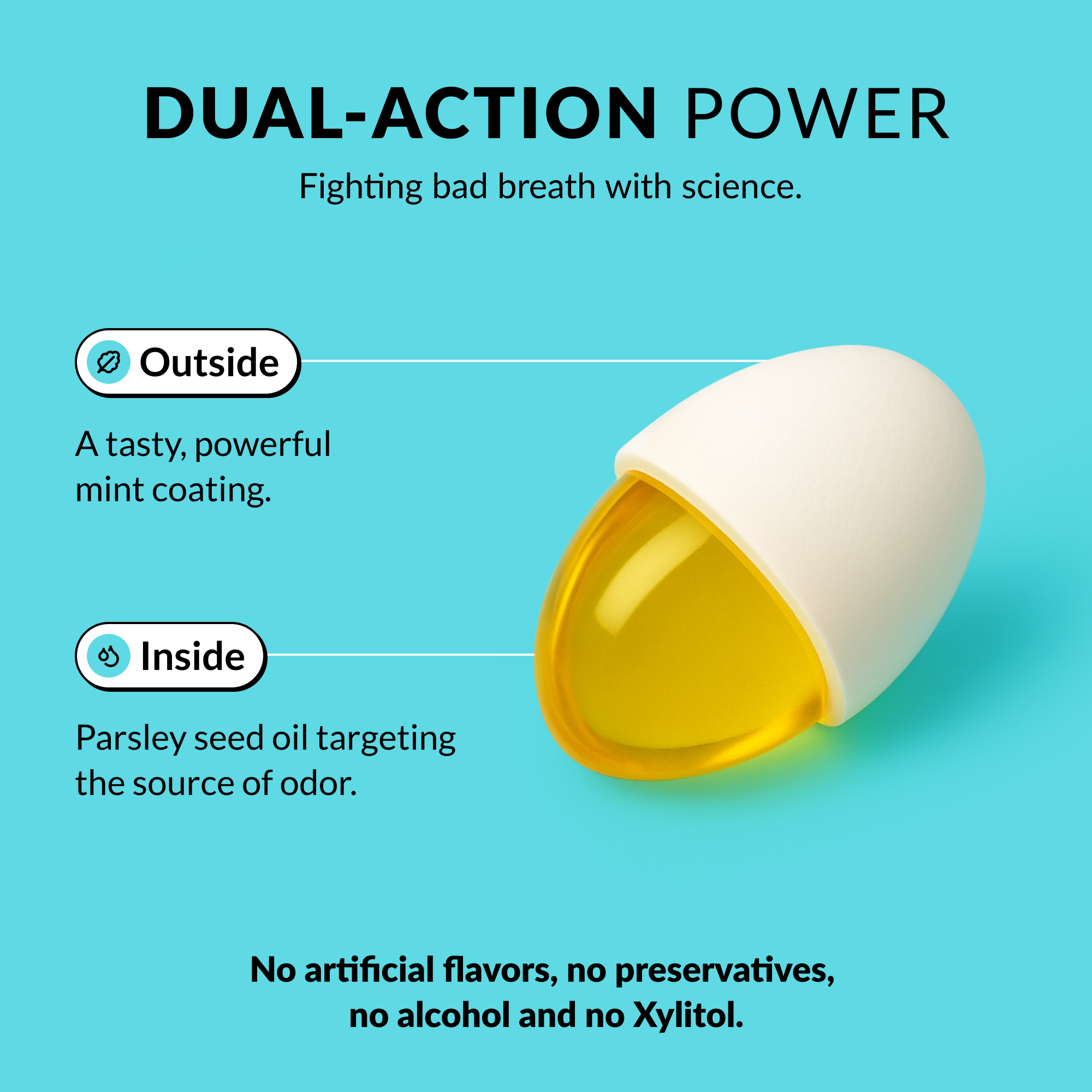 Illustration of a capsule with mint coating and parsley seed oil inside.