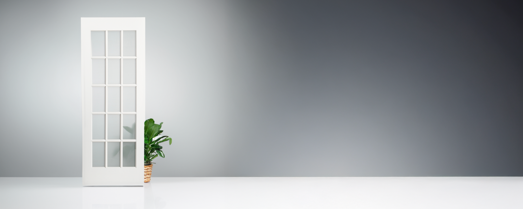White door with glass panels and a potted plant on a gray background.