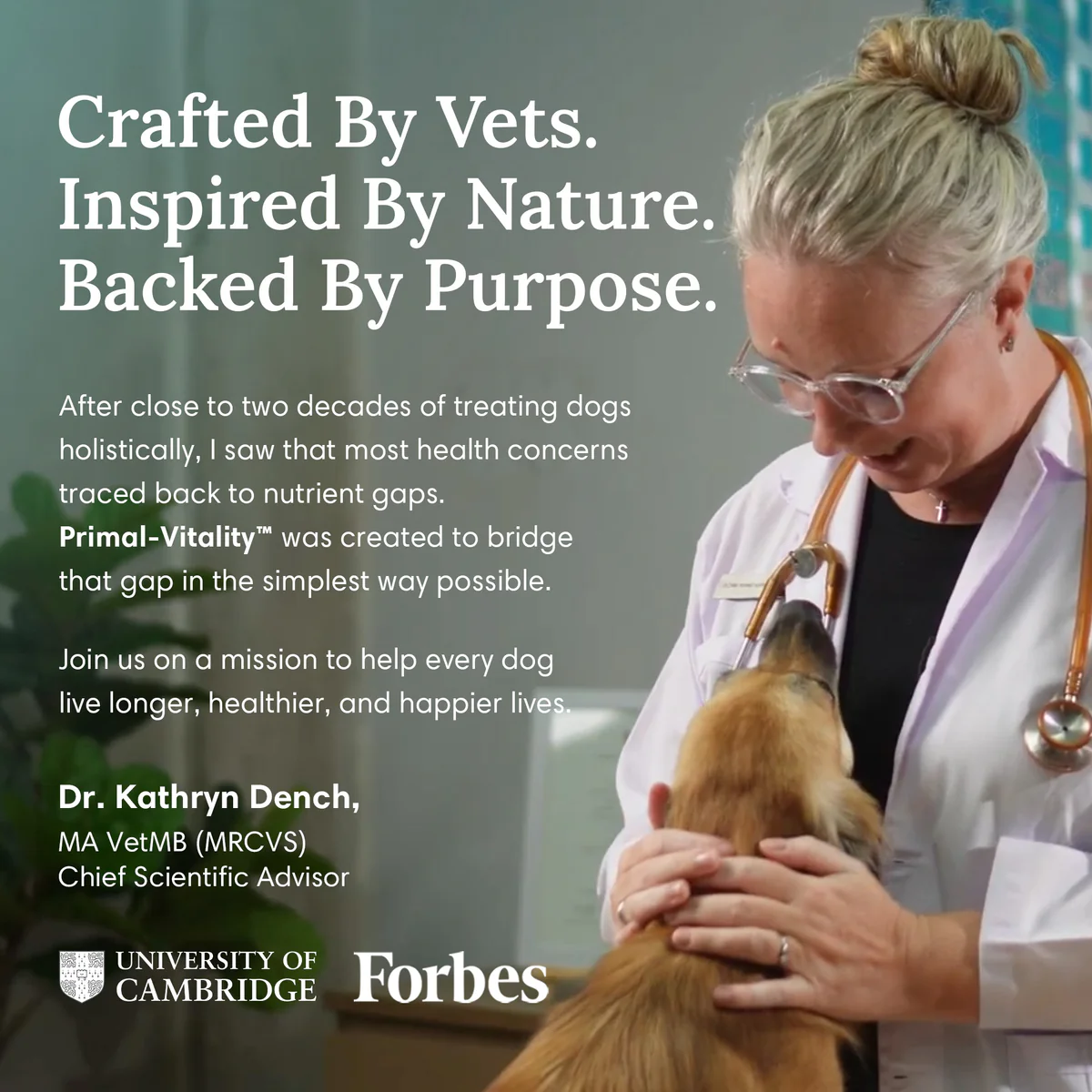 A female veterinarian in a lab coat and glasses holds and examines a small brown dog.
