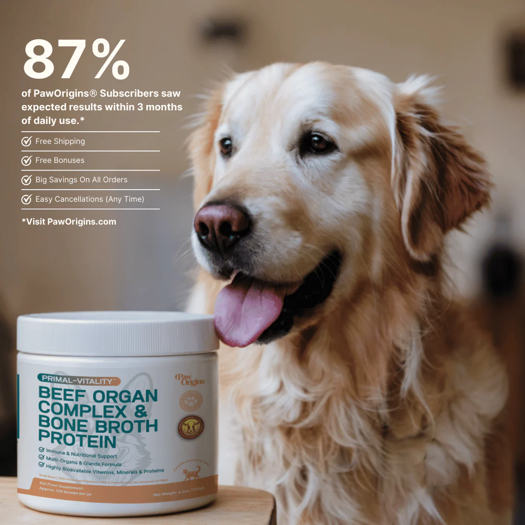 An advertisement for Paw Origins pet supplements, featuring a golden retriever next to a jar of the product.