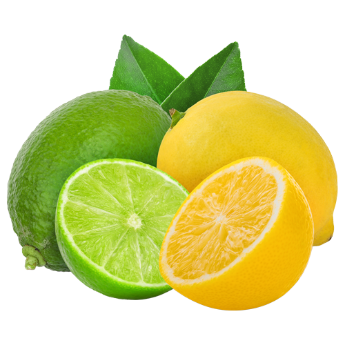 Whole and sliced lime and lemon with green leaves.