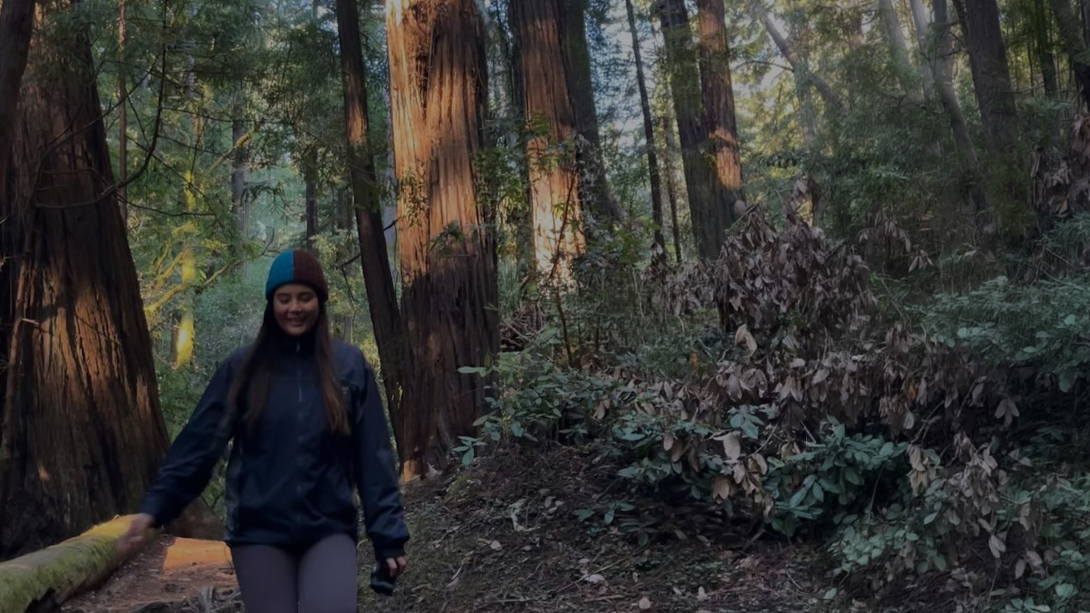 Trevi electrolyte drink mix package surrounded by lemons against a blue sky.